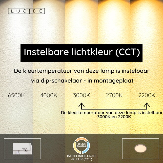 RINUS - Plafonnière Badkamer - Ø 30 cm - LED - CCT - 1x18W 2200K/3000K - IP44 - Opaal - Essential