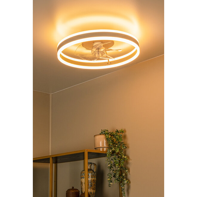 KARRUSEL - Plafondventilator met lamp - Ø 50 cm - LED Dimb. - CCT - 1x36W 2200K/2700K/3000K - Taupe - Essential