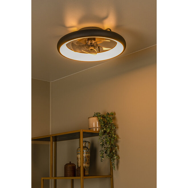 KARRUSEL - Plafondventilator met lamp - Ø 48 cm - LED Dimb. - CCT - 1x36W 2200K/2700K/3000K - Zwart - Essential