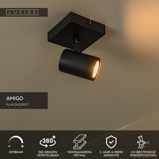 AMIGO - Plafondspot - 1xGU10 (MR16) - Zwart