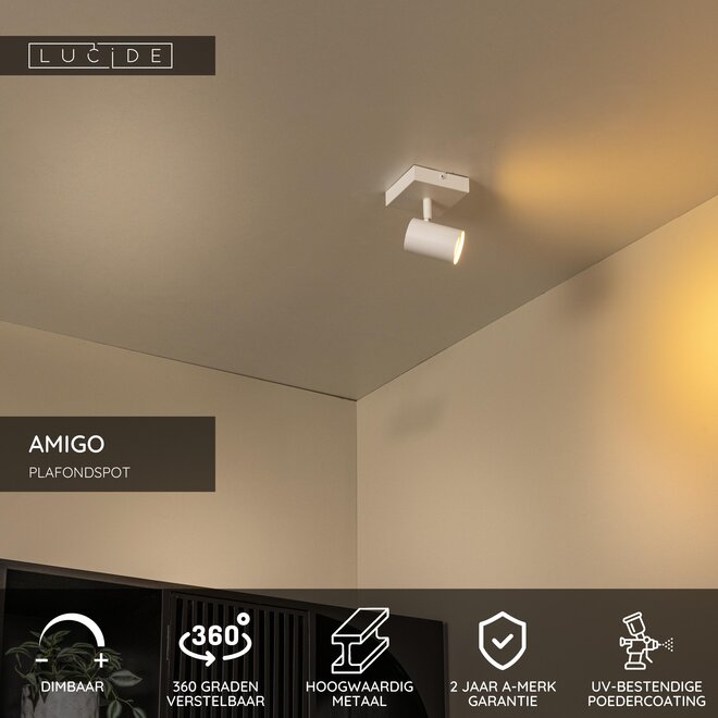 AMIGO - Plafondspot - 1xGU10 (MR16) - Wit