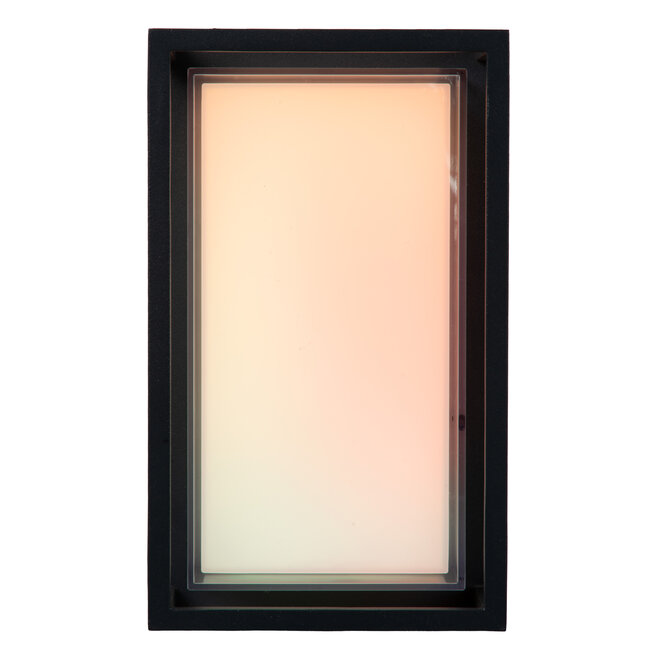 QUADRA - Smart Wandlamp Binnen/Buiten - LED - RGBCW - 1x11W 2700K/6500K - IP65 - Zwart | Essential