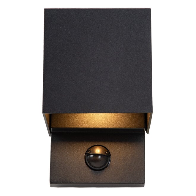 TADZIO - Wandlamp Binnen/Buiten - LED - CCT - 1x7W 2700K/4000K - IP65 - Bewegingssensor - Zwart - Essential