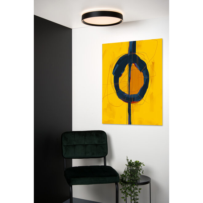 NURIA - Plafonnière - Ø 30 cm - LED 3 StepDim - 1x18W 2700K - Zwart