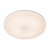 OLSON - Plafonnière Badkamer - Ø 29 cm - LED - CCT - 1x24W 3000K/6500K - IP44 - Opaal