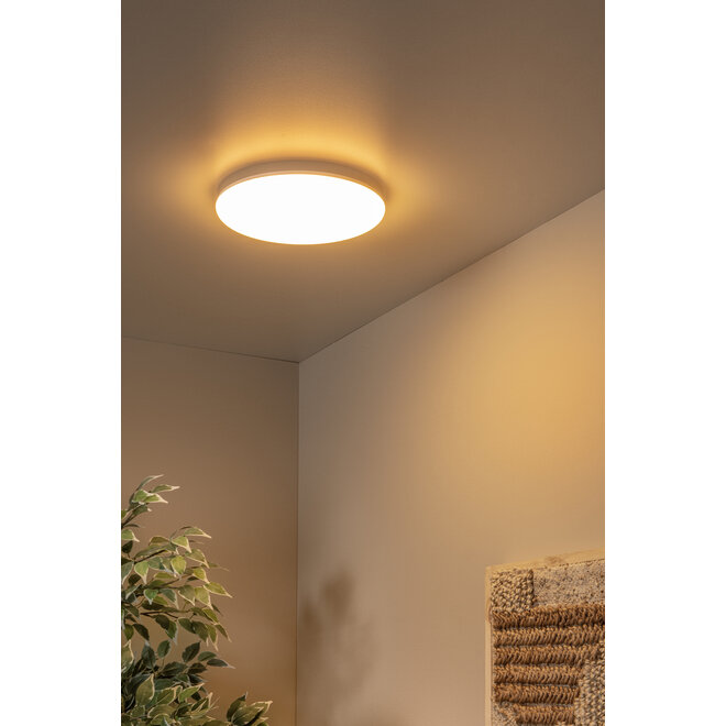 OLSON - Plafonnière Badkamer - Ø 29 cm - LED - CCT - 1x24W 3000K/6500K - IP44 - Opaal