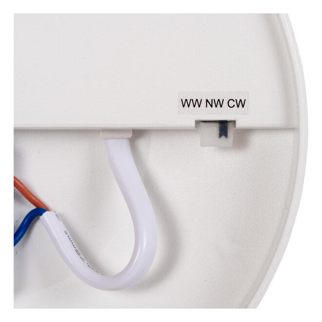 OLSON - Plafonnière Badkamer - Ø 29 cm - LED - CCT - 1x24W 3000K/6500K - IP44 - Opaal