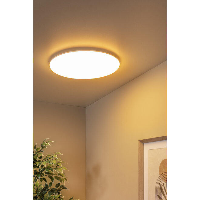 OLSON - Plafonnière Badkamer - Ø 45 cm - LED - CCT - 1x45W 3000K/6500K - IP44 - Opaal