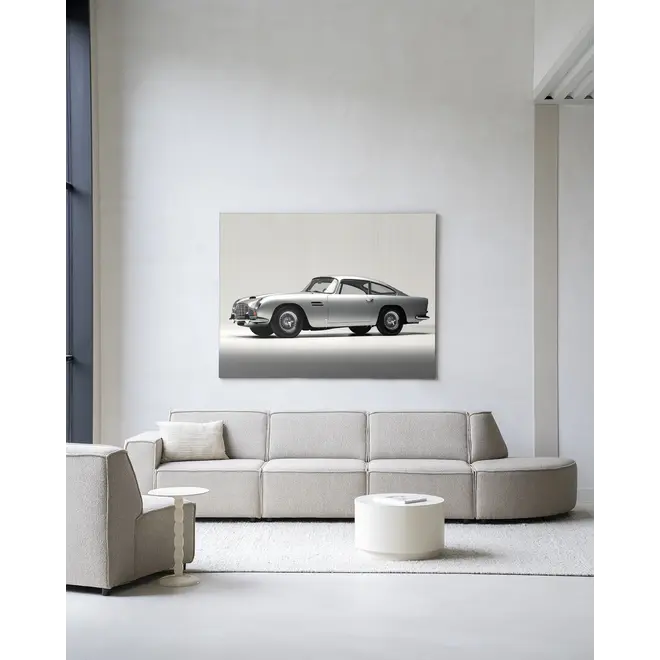 Urban Cotton Wandkleed Silver Ride