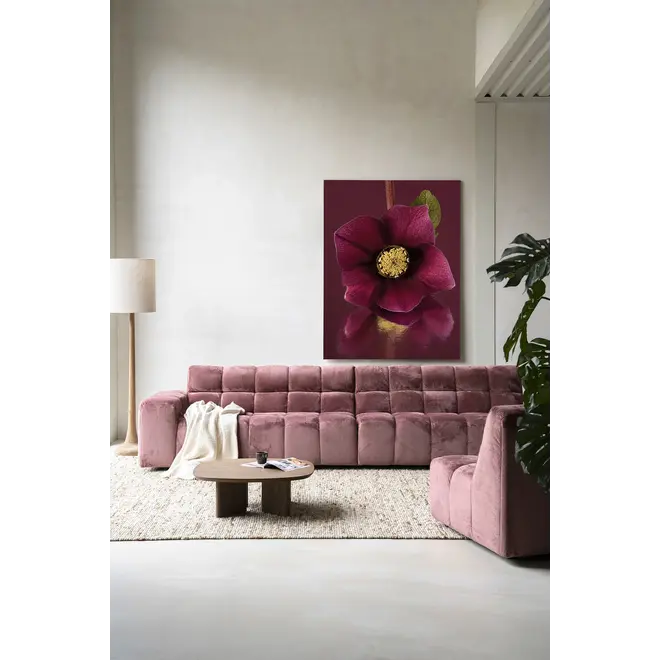 Urban Cotton Wandkleed De Elegantie Van De Kerstroos