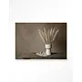 Urban Cotton Wandkleed Natural Pampas Plumes