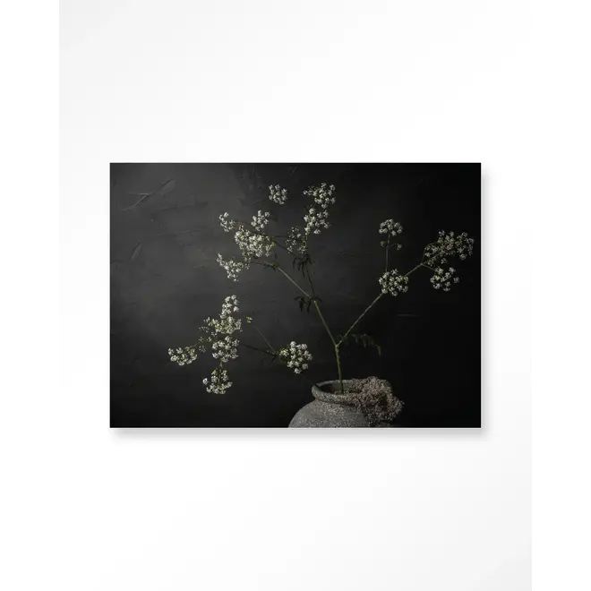 Urban Cotton Wandkleed The Light Of Cow Parsley