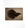 Urban Cotton Wandkleed Brown Fish