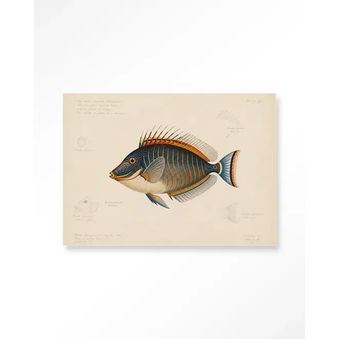 Urban Cotton Wandkleed Tropical Fish