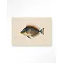 Urban Cotton Wandkleed Tropical Fish