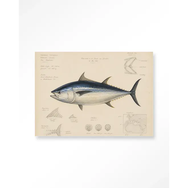 Urban Cotton Wandkleed Tuna Fish