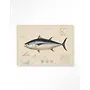 Urban Cotton Wandkleed Tuna Fish