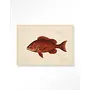 Urban Cotton Wandkleed Red Snapper