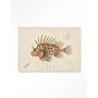 Urban Cotton Wandkleed Lion Fish