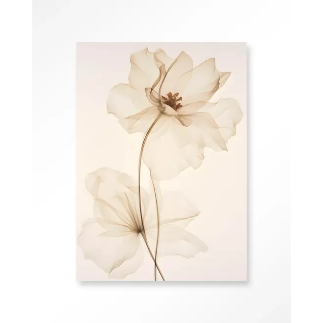 Urban Cotton Wandkleed White Flowers