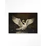 Urban Cotton Wandkleed Swan Lake