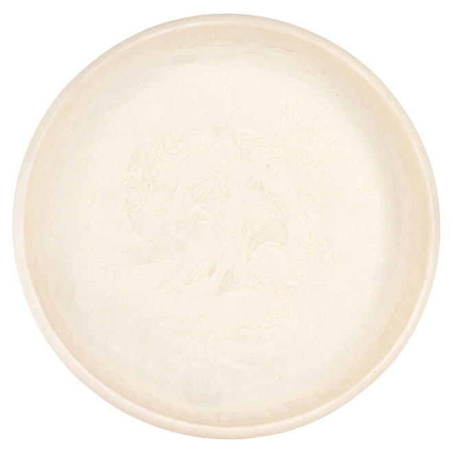 Schaal Daisy white