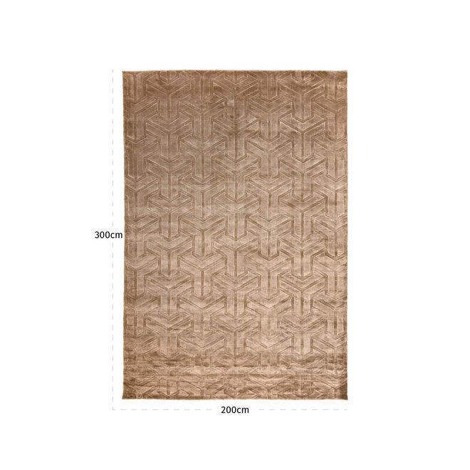 Vloerkleed Arles taupe 200x300