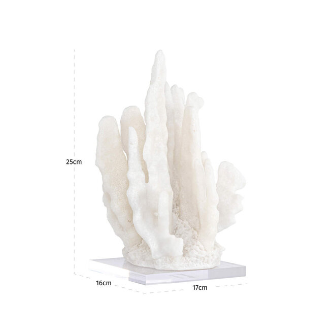 Decoratief object Lilly white coral look