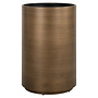 Plantenbak Dira brushed gold 50Ø