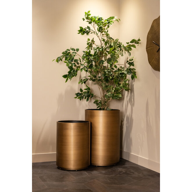 Plantenbak Dira brushed gold 50Ø