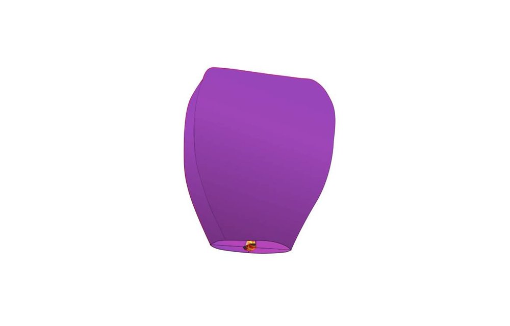Paarse Wensballon
