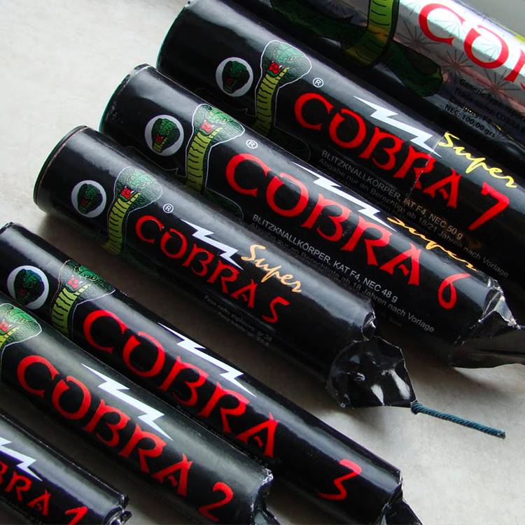 Cobra 11 Dummy (1st)