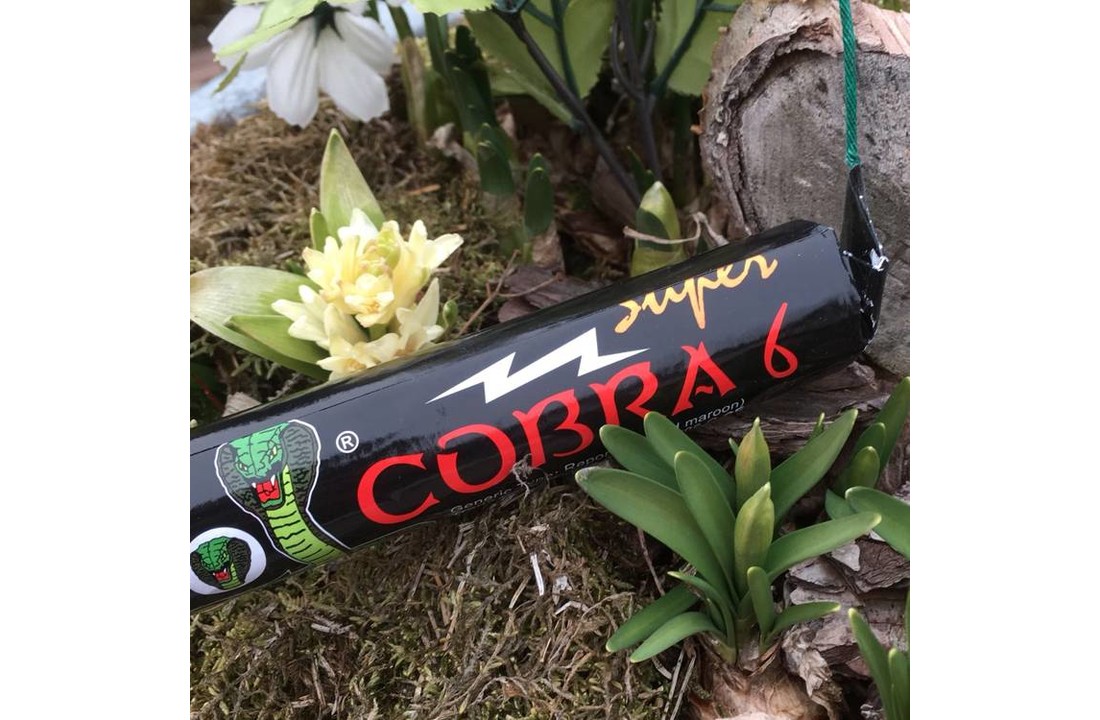 Cobra 6 Dummy (1st)