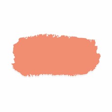 Fusion Mineral Paint Fusion - Coral  - 500ml