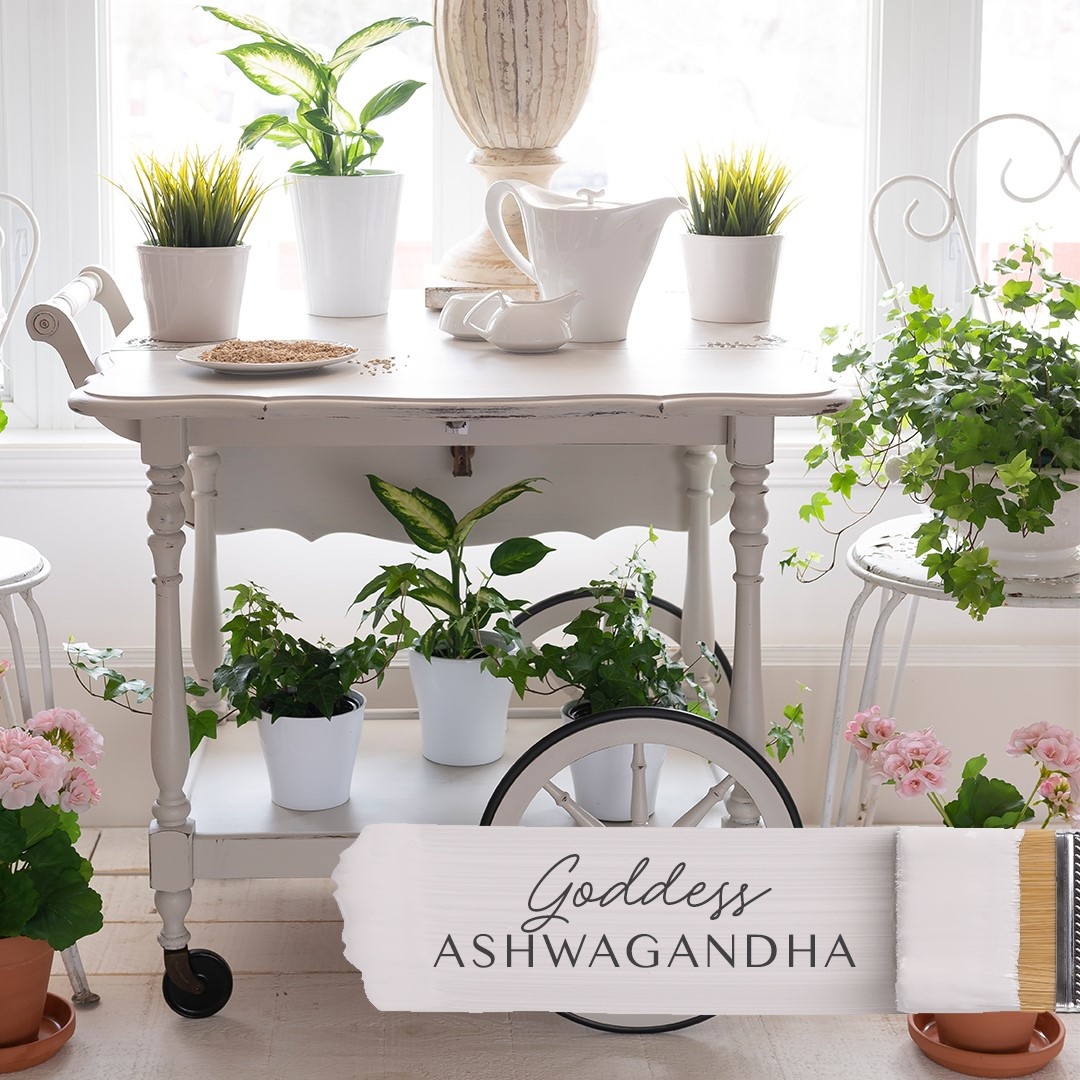 Fusion Mineral Paint Fusion - Goddess Ashwagandha - 500ml