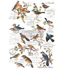 Redesign with Prima Redesign - Decor Transfer - Postal Birds