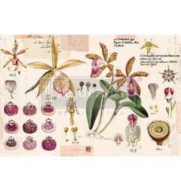 Redesign with Prima Redesign - Tissue Paper - Purple Beauty