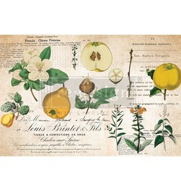 Redesign with Prima Redesign - Tissue Paper - Primrose