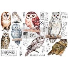 Redesign with Prima Redesign - Decor Transfer - Owl