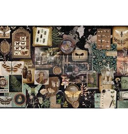 Redesign with Prima Redesign - Tissue Paper - Herbarium Notes