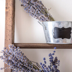 Homestead House HH - Milk Paint Wood Stain - Sherwood Brown - 80gr