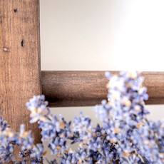 Homestead House HH - Milk Paint Wood Stain - Sherwood Brown - 80gr