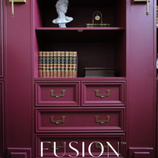 Fusion Mineral Paint Fusion - Winchester - 37ml