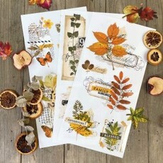 Redesign with Prima Redesign - Decor Transfer - Foliage Collector