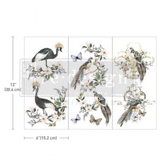 Redesign with Prima Redesign - Decor Transfer - Rare Birds