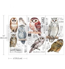 Redesign with Prima Redesign - Transfer 6x12 - Owl