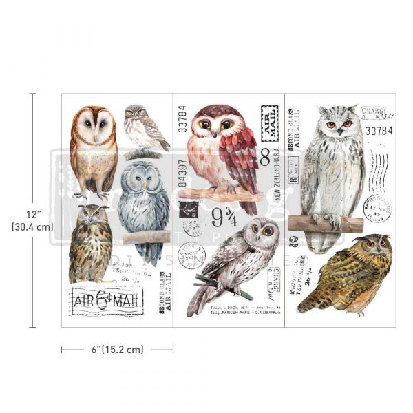 Redesign with Prima Redesign - Decor Transfer - Owl