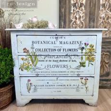 Redesign with Prima Redesign - Decor Transfer - Botanical Magazine