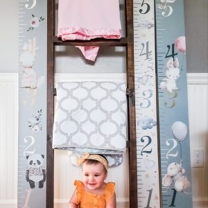Redesign with Prima Redesign - Decor Transfer - Sweet Lullaby