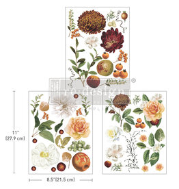 Redesign with Prima Redesign - Decor Transfer A4 - Seasonal Splendor